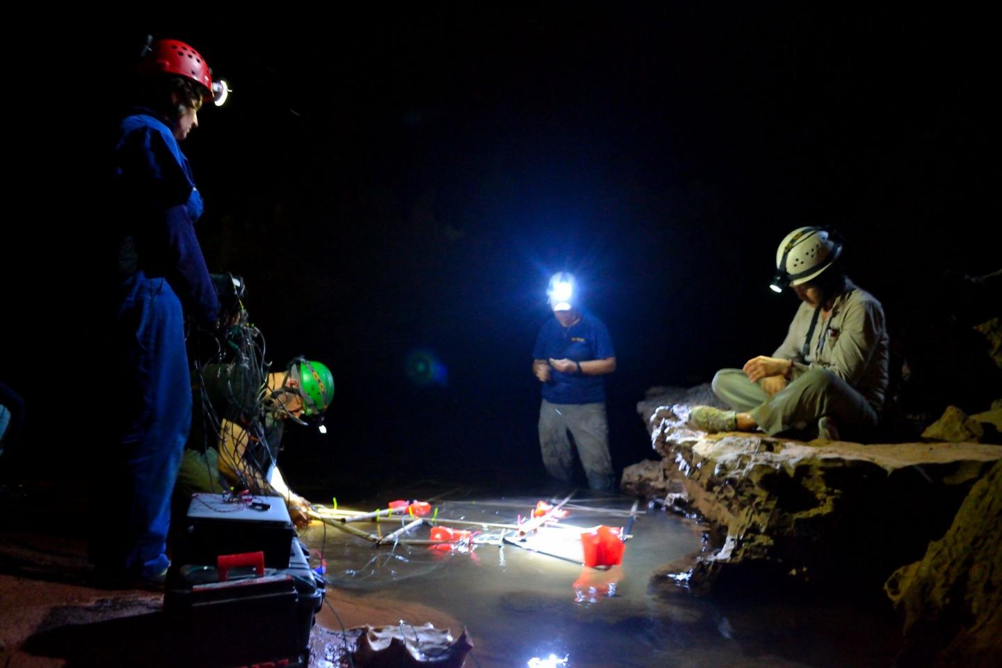 SaoVicenteApparatus_Lina