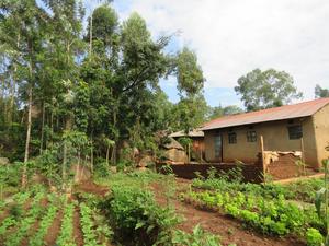 A farm with trees