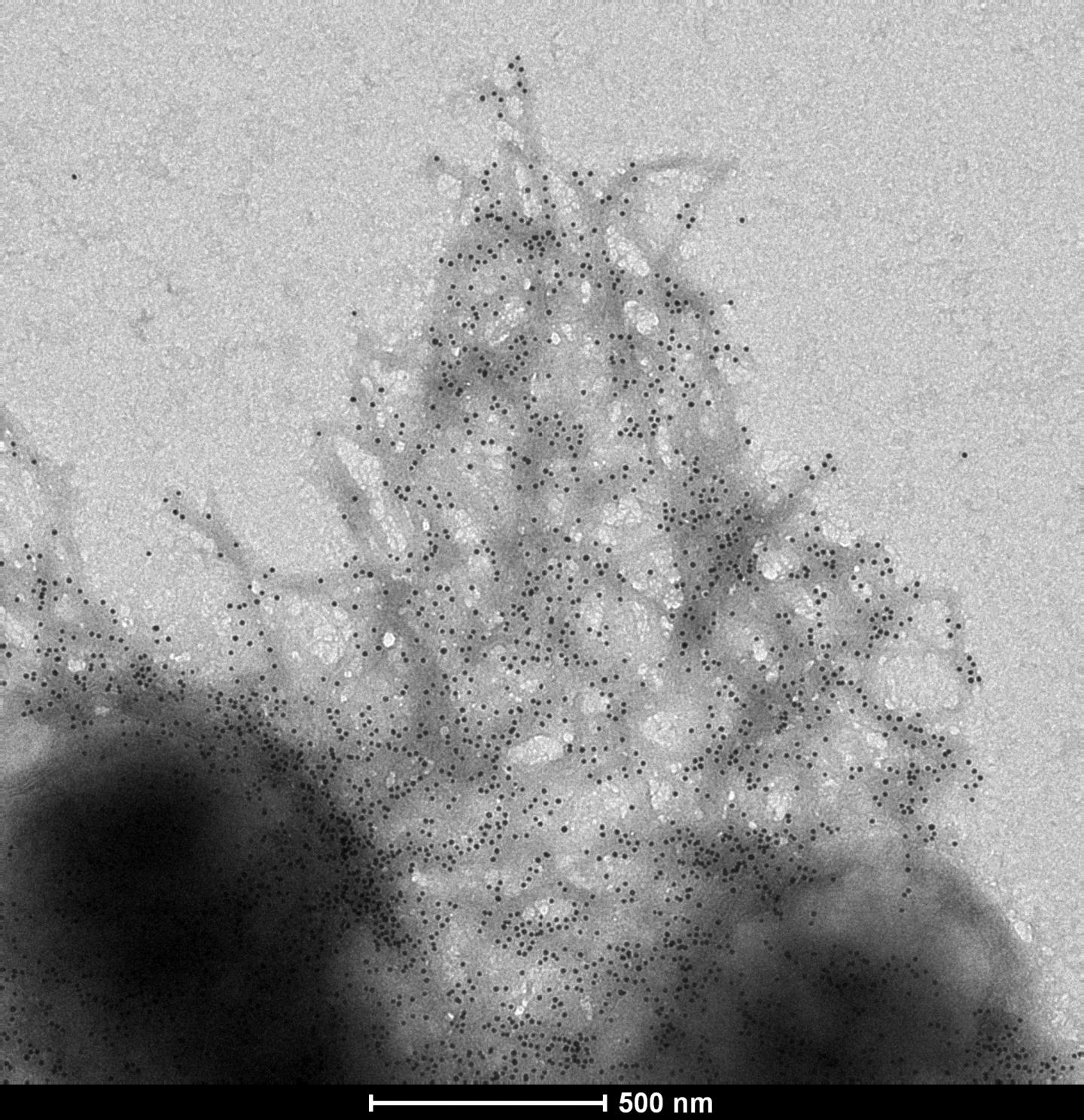 Nanoparticle Assembly into Pressure Switch