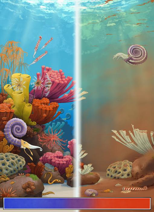 Reef pre- and post- extinction event