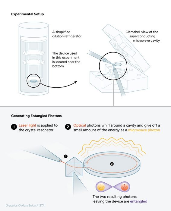 The experimental setup