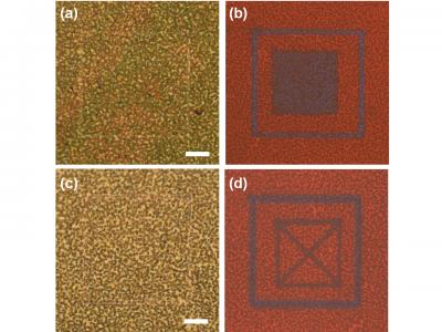 Mesoporous Silicon Nanowires Scanned By A Focused Laser Beam