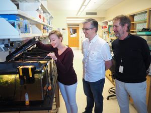 Winka, Fred and Tim in lab