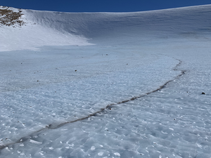 Allan Hills Blue Ice.