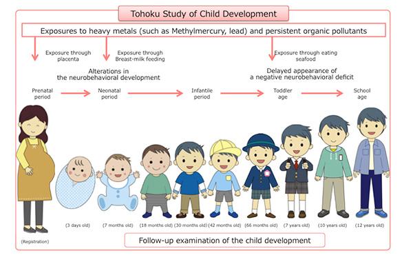 Pre/Postnatal Lead Exposure Affects Neurodevelopment in Japanese Children