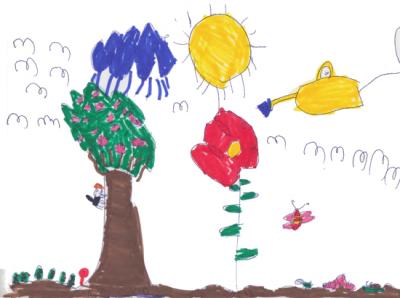 Young Children's Drawings of Plant Life