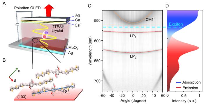 Figure 1 | Schematics of OPLED structure and angle-resolved reflectivity.