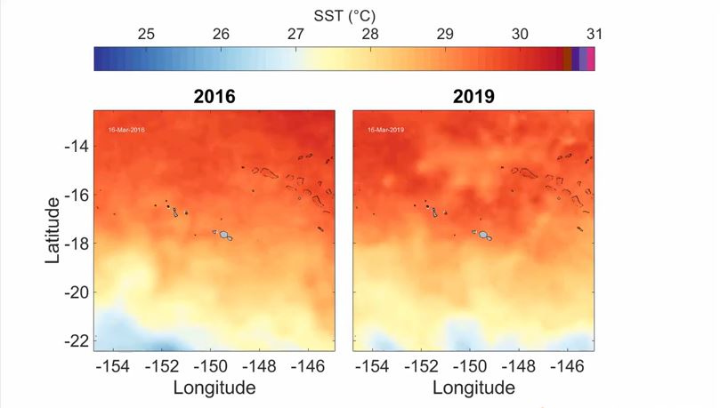 An animation of the sea-surface temperatures around Moorea compared during the 2016 and 2019 marine heatwaves