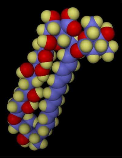 Molecular Model of the Antibiotic - Amphotericin B