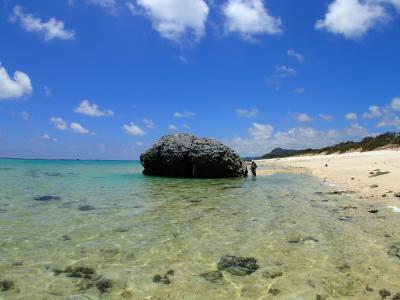 Huge Porites Boulder, Japan