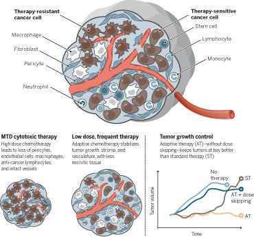 Unconventional Treatment Strategy Controls -- Rather than Eradicates -- Cancer