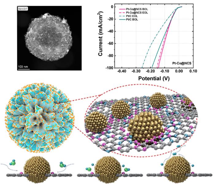 Single-Atom and Pt Nanoparticle Multistage Synergistic Hydrogen Evolution Electrocatalyst