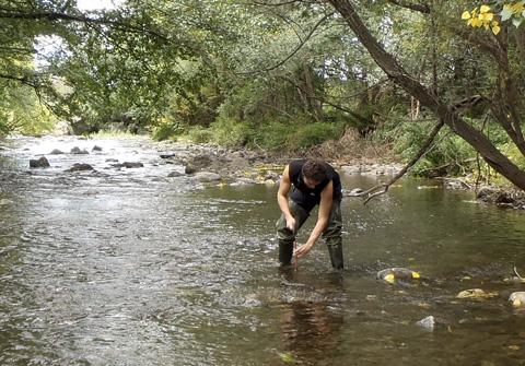 Studying the Impact of An Effluent in the River Segre