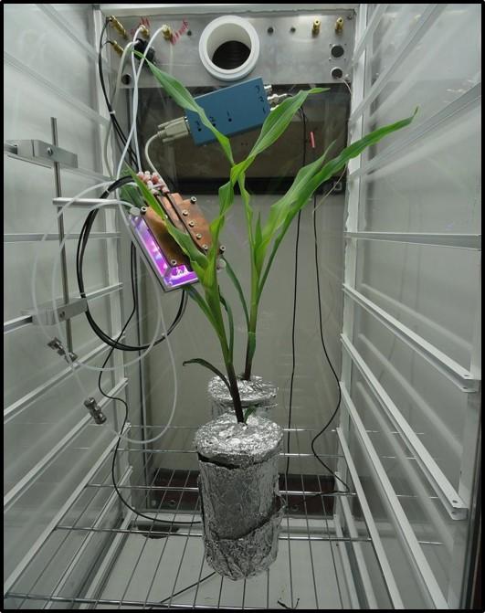 Radioisotope Tracer Administration