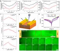 Modulating the Optical and Electrical Properties of MPB SCBK via Voltage Regulation Engineering and Application in Memristors
