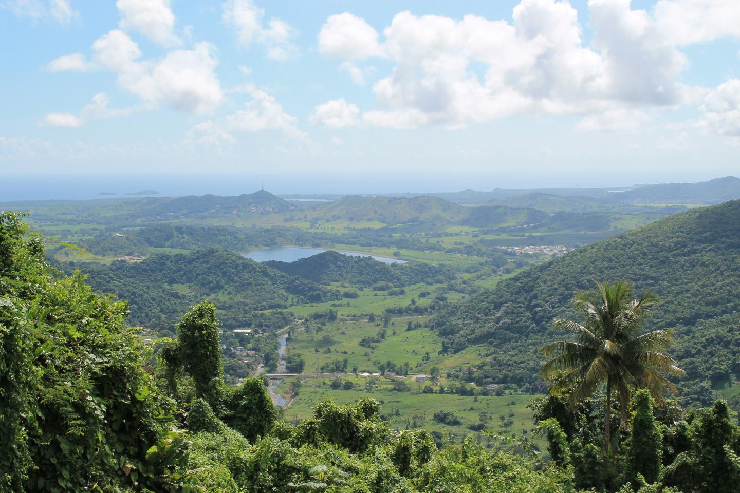 Puerto Rico Land Use [IMAGE] EurekAlert! Science News Releases