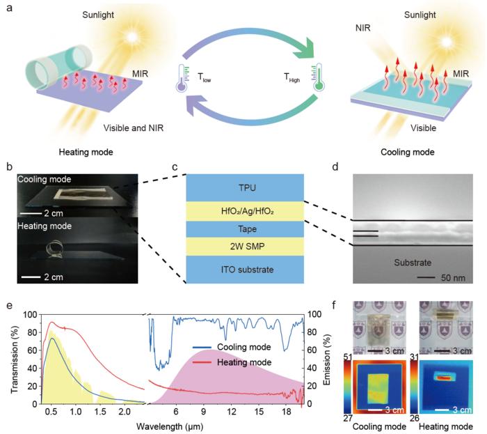 Structure, optical performance, and thermal performance of the designed device.