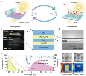 Structure, optical performance, and thermal performance of the designed device.