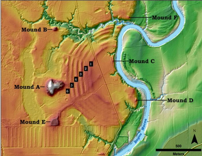 Poverty Point Illustration