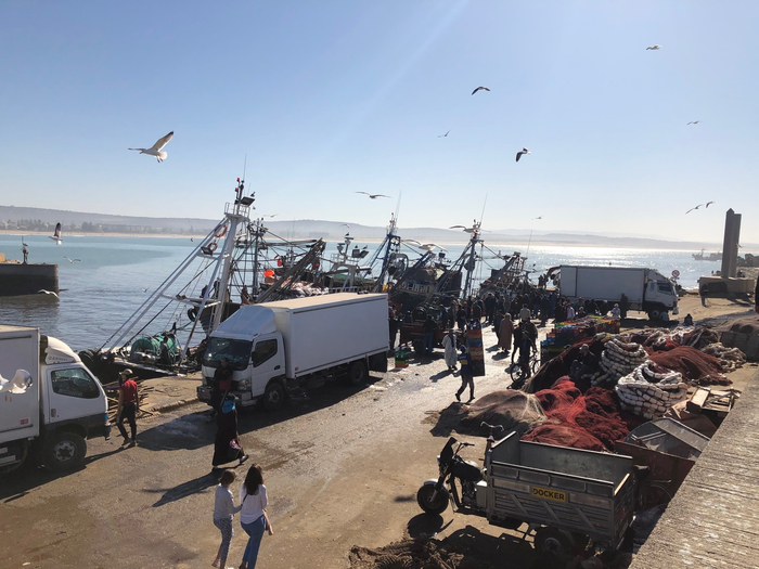 Cold storage lorries and fishing boats in Morocco. The lorries will transport the fish inland as part of the seafood trade.