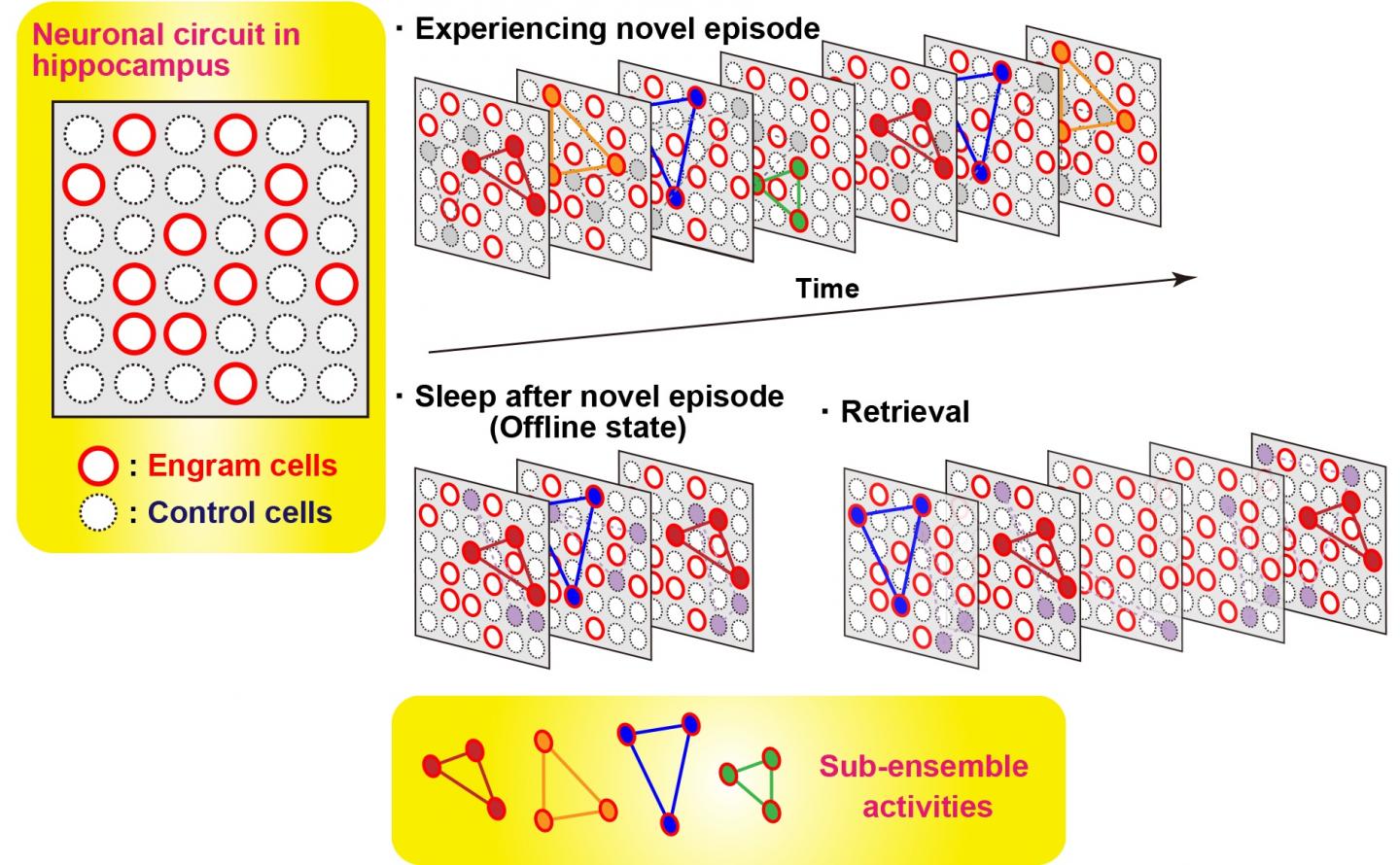 Figure 3 [IMAGE] | EurekAlert! Science News Releases