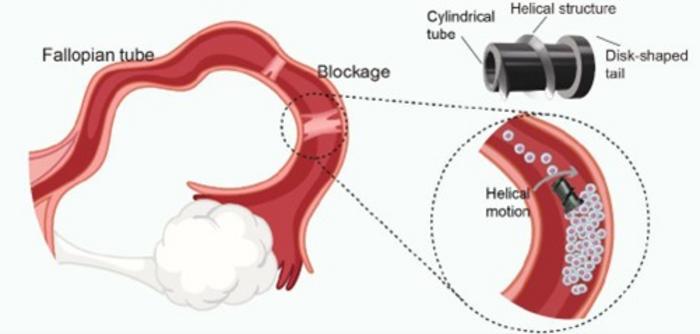 Magnetic robotic microscrew for oviduct recanalization