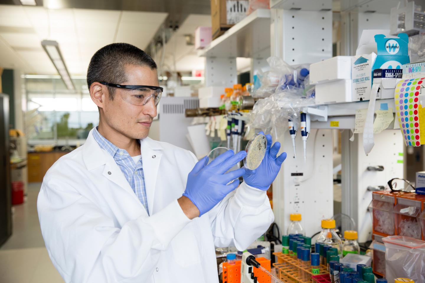 Trey Sato, University of Wisconsin-Madison