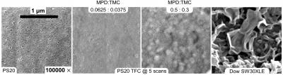 Surface Morphology of Thin Polyamide Films Created by Electrospray Compared with a Control