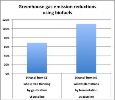 Woody Biomass for Ethanol