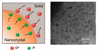 UV-Induced Changes to Giant Cells