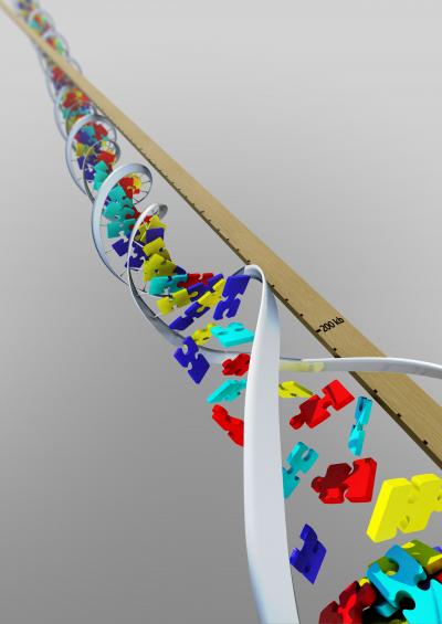 Topoisomerase Inhibitors