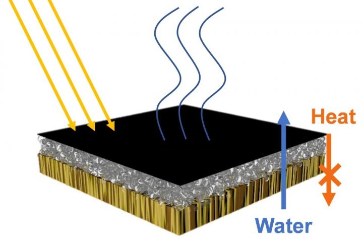 Purifying Water with the Help of Wood, Bacteria and the Sun