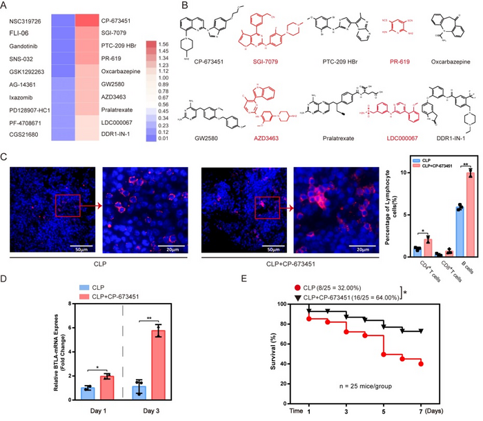 生物活性化合物筛选发现PDGFR抑制剂上调BTLA表达