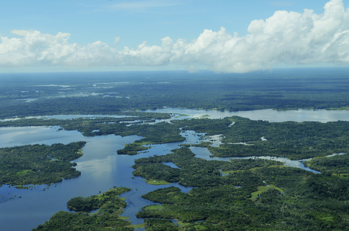 Water corridors sustain life in the Amazon