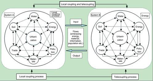 Figure 1: Relationships between Local Coupling and Telecoupling