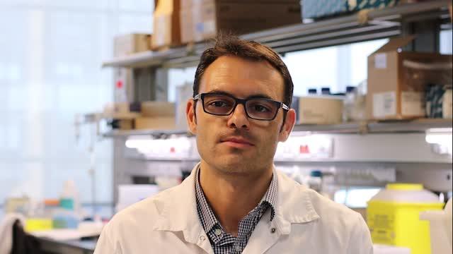 Video: A New Mechanism in the Control of Inflammation