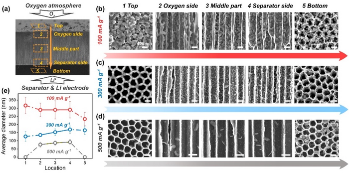 Reacquainting the Sudden-Death and Reaction Routes of Li–O2 Batteries by Ex Situ Observation of Li2O2 Distribution Inside a Highly Ordered Air Electrode