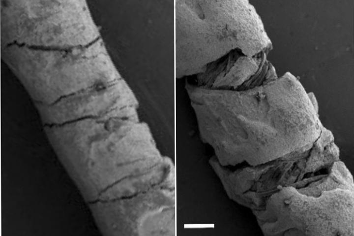 Threads coated with electrically conducting carbon-based ink