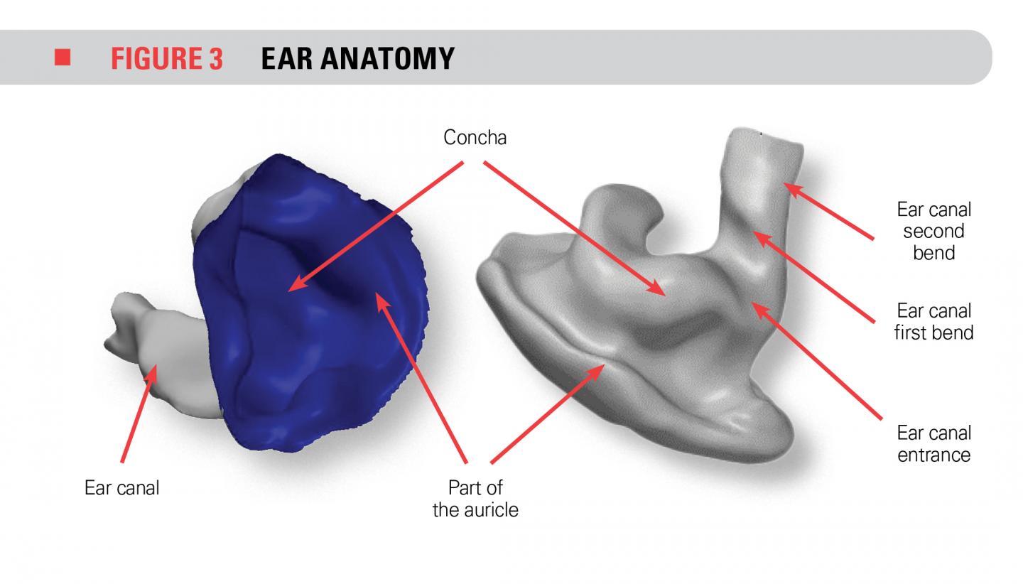 Figure 3 - Anatomie de l'oreille