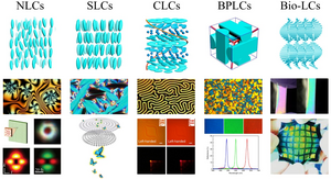 Figure 1. Soft matter photonics.