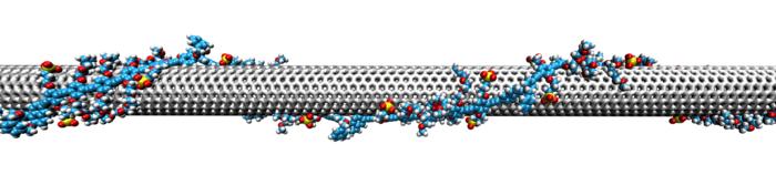 Tiny tunable nanotubes