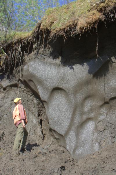 Permafrost May Be Hardier Than Thought (2 of 3)