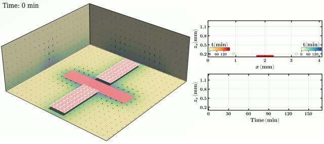 Autonomous coupled oscillations of two active sheets
