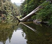 Scientists Study Northern California's Eel River
