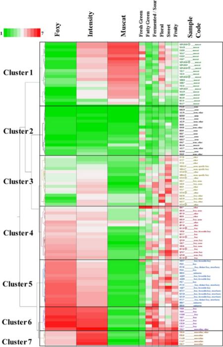 Classification of flavour characteristics by hierarchical cluster analysis (HCA) using Ward’s cluster algorithm for the dataset of flavour intensity values and foxy and muscat flavours obtained from the sensory evaluation of 102 samples.