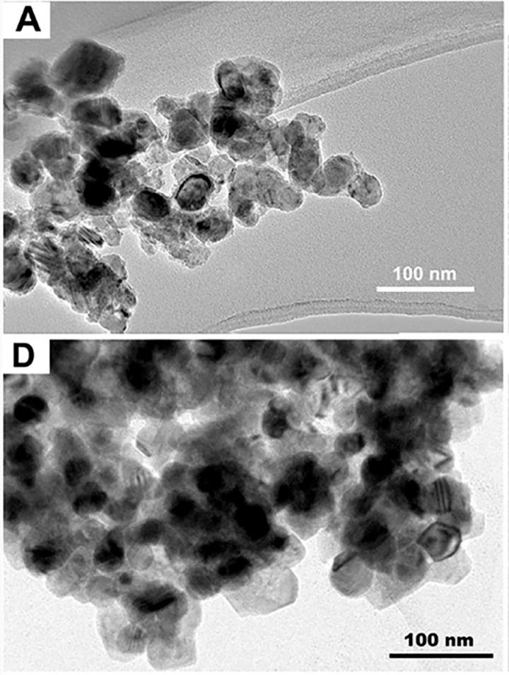Transmission electron microscope images of the catalyst before (top) and after (bottom) the reaction.