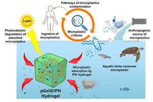 Addressing microplastic contamination in water with engineered 3D pGel@IPN hydrogel