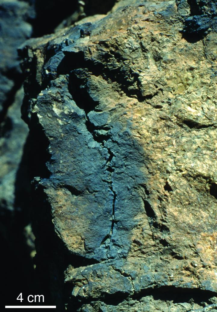 Rock Fulgurite