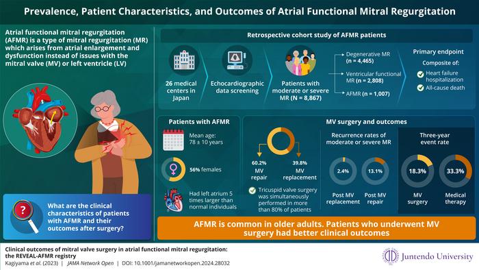 Characteristics and Treatment of Atrial Functional Mitral Regurgitation