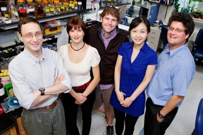 Research Team: Illinois